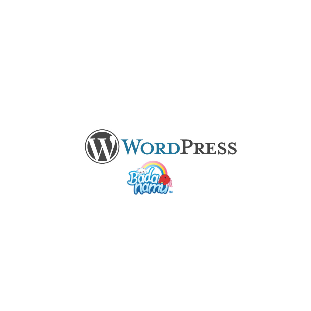 Caso de éxito de WordPress na empresa Badanamu