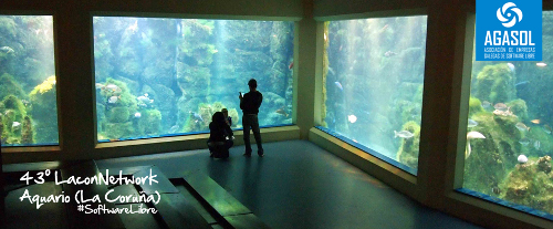 43 edición da LaconNetwork AGASOL