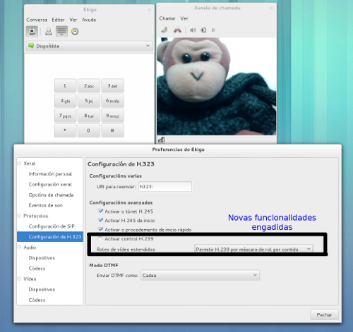 Captura de pantalla de Ekiga 4.0 coas opcións de soporte H.239