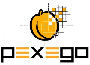 Logo da emrpesa Pexego